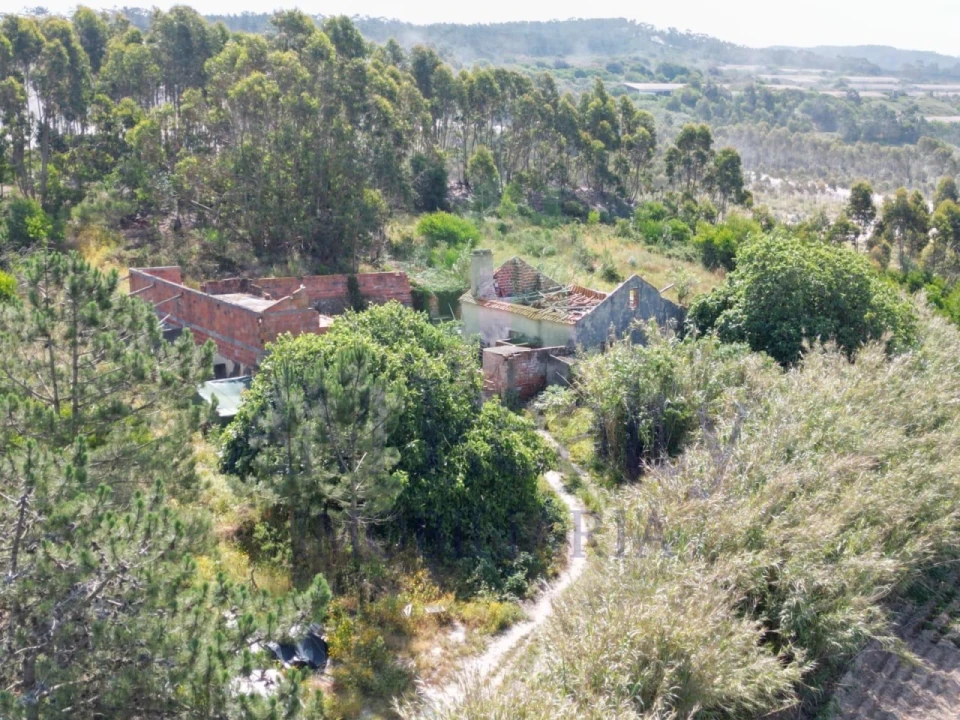 Moradia para Venda em Santa Maria, São Pedro e Sobral da Lagoa Foto 5