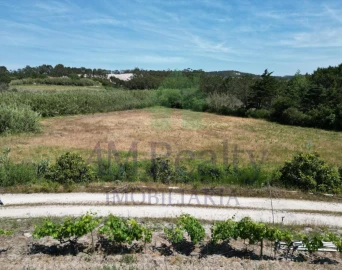Moradia para Venda em Santa Maria, São Pedro e Sobral da Lagoa