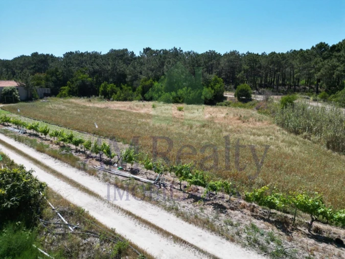 Moradia para Venda em Santa Maria, São Pedro e Sobral da Lagoa Foto 7