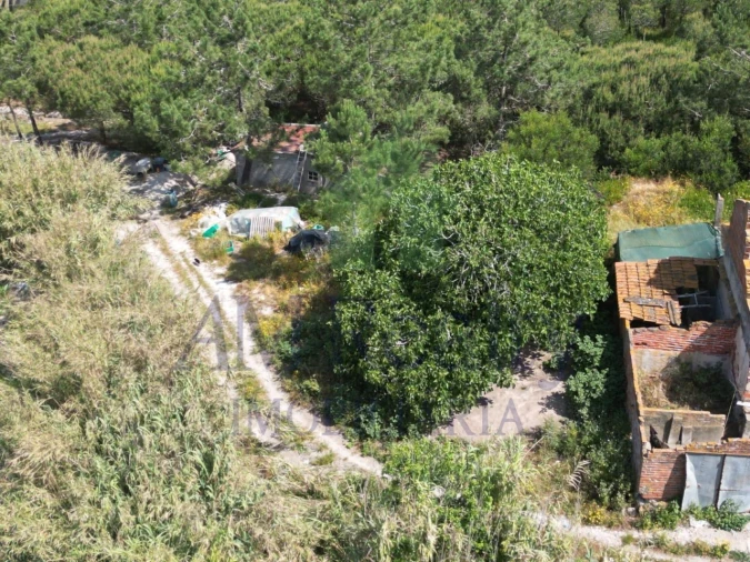 Moradia para Venda em Santa Maria, São Pedro e Sobral da Lagoa Foto 4