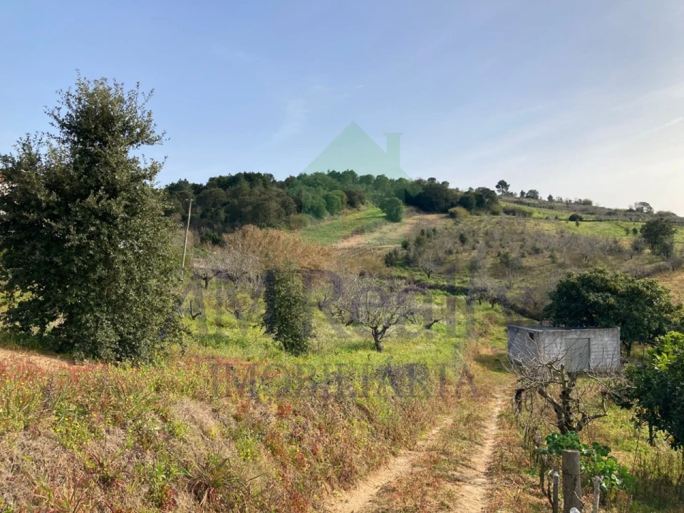 Terreno para Venda em Roliça Foto 2