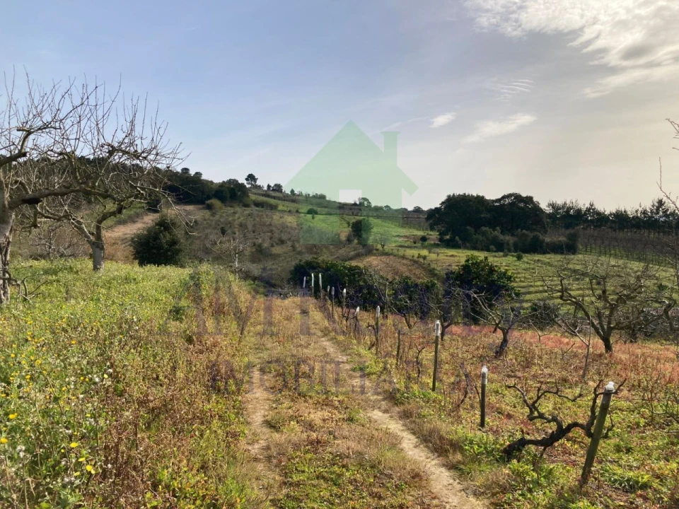 Terreno para Venda em Roliça Foto 3