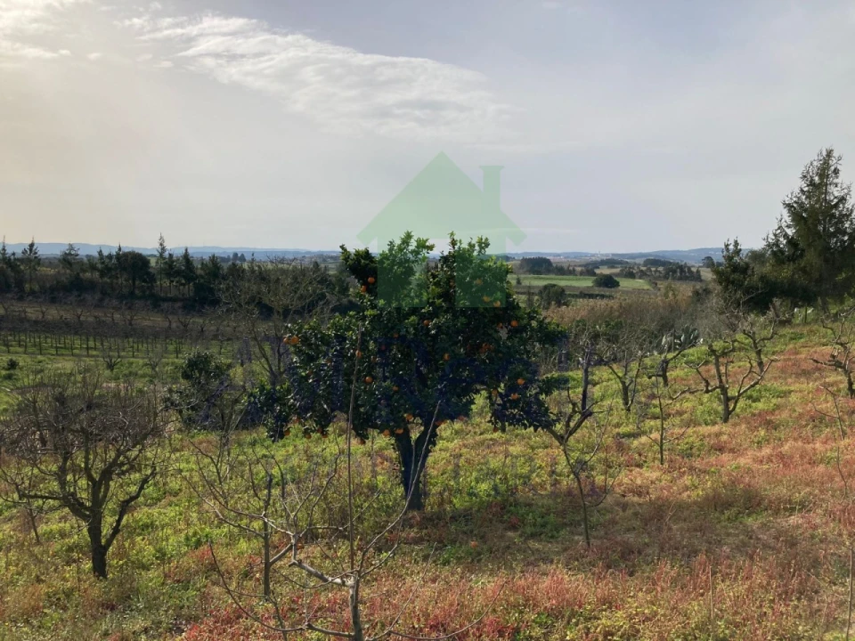 Terreno para Venda em Roliça Foto 5