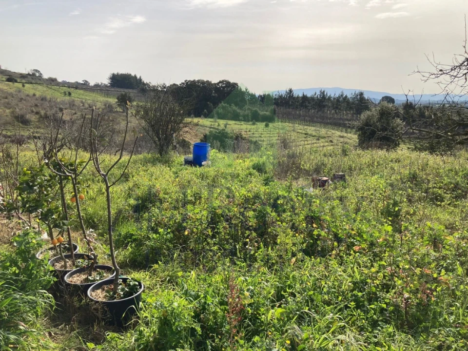 Terreno para Venda em Roliça Foto 6