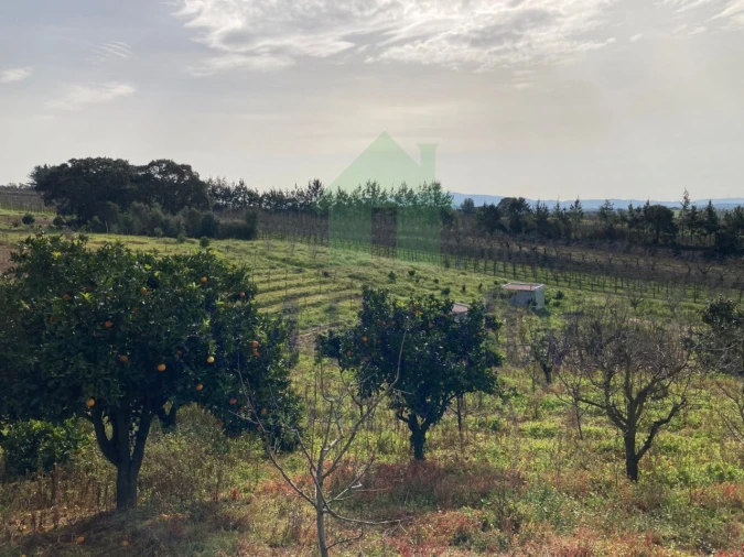 Terreno para Venda em Roliça Foto 4