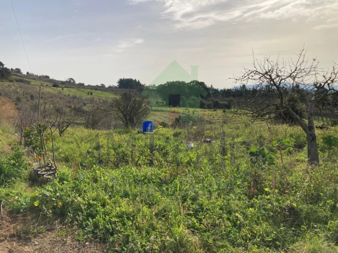 Terreno para Venda em Roliça Foto 9
