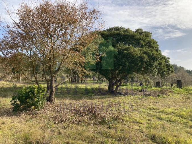 Terreno para Venda em Roliça Foto 2