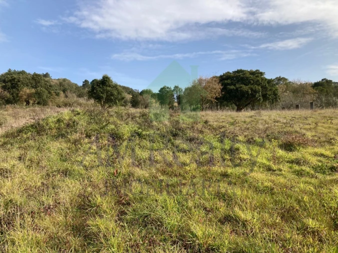 Terreno para Venda em Roliça Foto 3