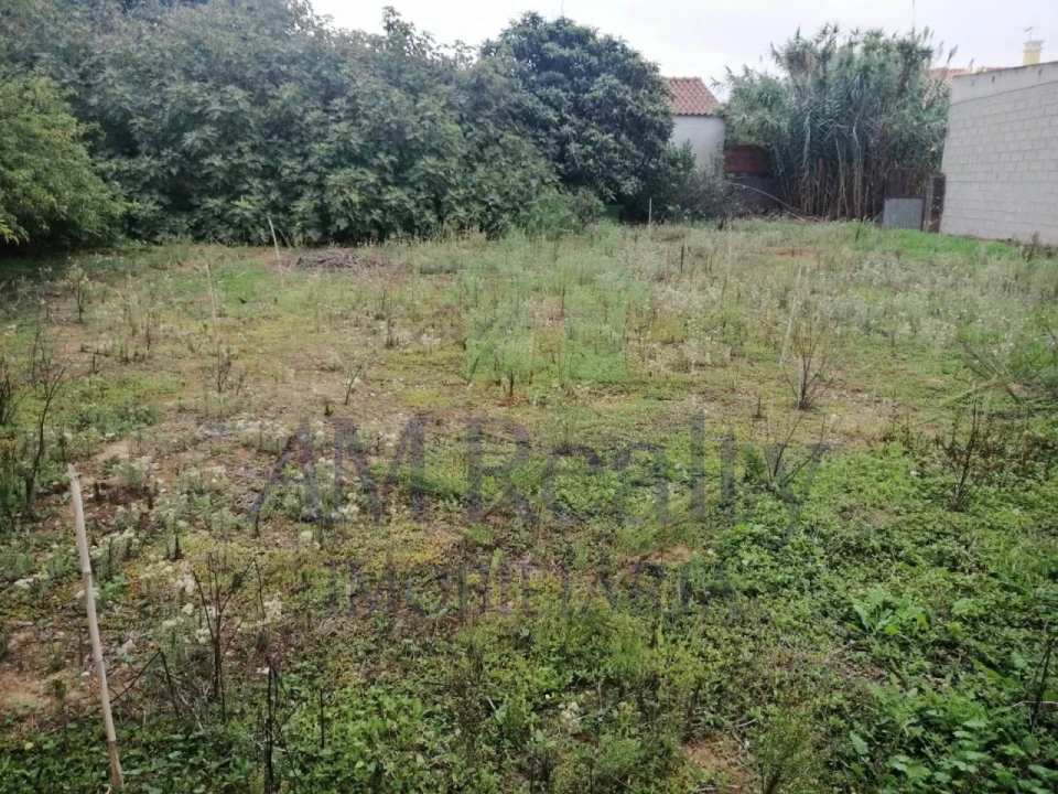 Moradia para Venda em Vermelha Foto 5