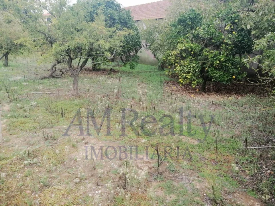 Moradia para Venda em Vermelha Foto 6