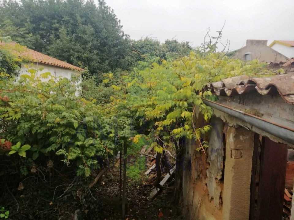 Moradia para Venda em Vermelha Foto 12