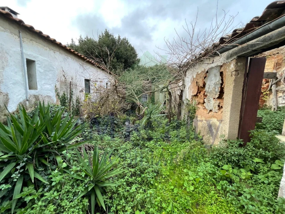 Moradia para Venda em Vermelha Foto 42