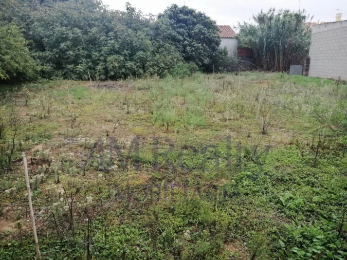 Moradia para Venda em Vermelha Foto 5