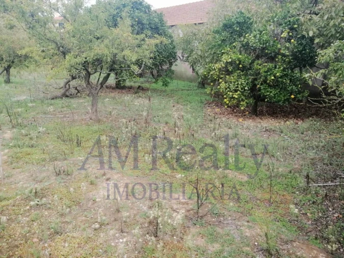 Moradia para Venda em Vermelha Foto 6