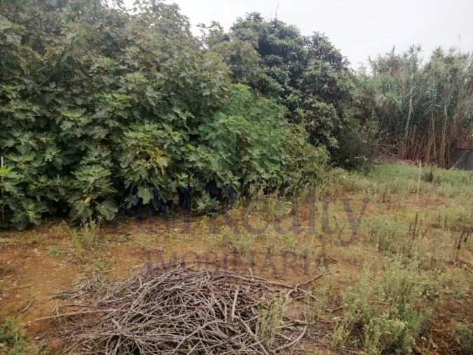 Moradia para Venda em Vermelha Foto 8