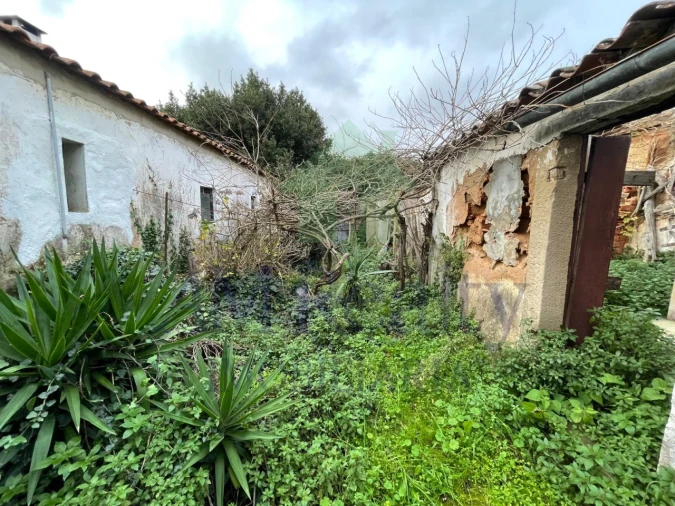 Moradia para Venda em Vermelha Foto 42