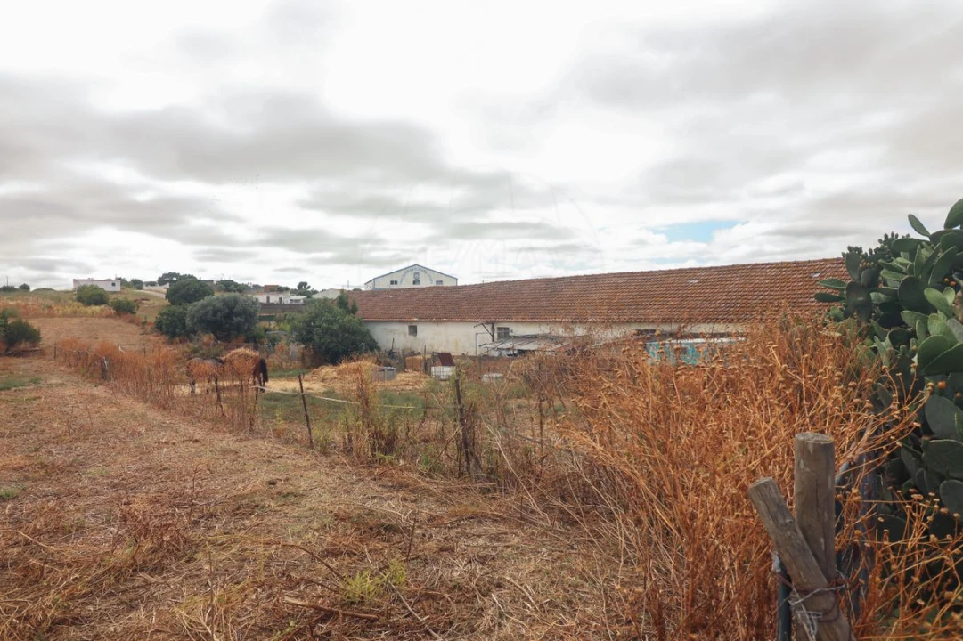 Quinta T3 para Venda em Alenquer (Santo Estêvão e Triana) Foto 29