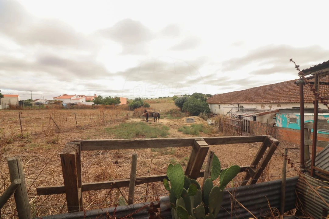 Quinta T3 para Venda em Alenquer (Santo Estêvão e Triana) Foto 30