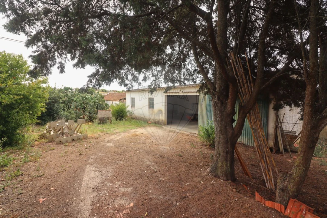 Quinta T3 para Venda em Alenquer (Santo Estêvão e Triana) Foto 28