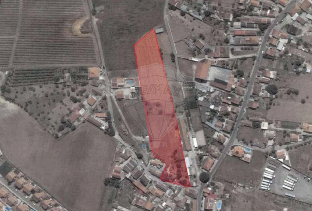 Quinta T3 para Venda em Alenquer (Santo Estêvão e Triana) Foto 3