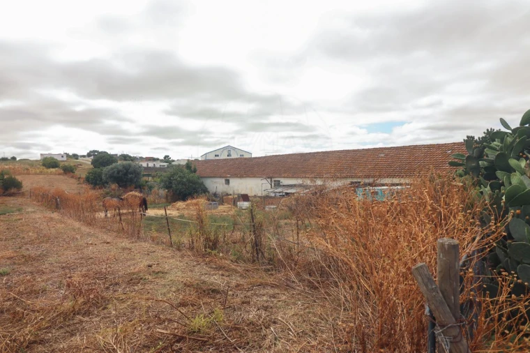 Quinta T3 para Venda em Alenquer (Santo Estêvão e Triana) Foto 29