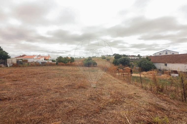 Quinta T3 para Venda em Alenquer (Santo Estêvão e Triana) Foto 7