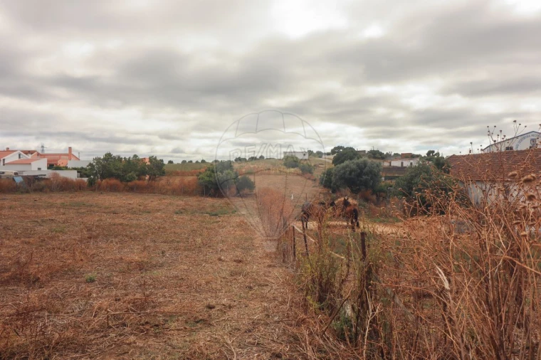 Quinta T3 para Venda em Alenquer (Santo Estêvão e Triana) Foto 5
