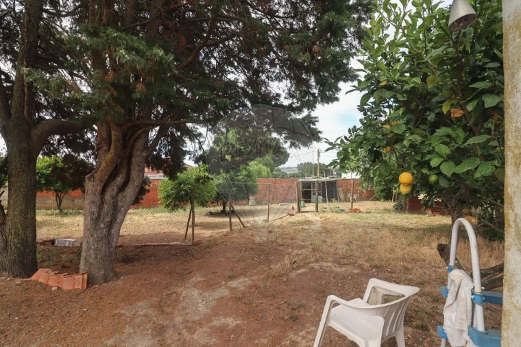 Quinta T3 para Venda em Alenquer (Santo Estêvão e Triana) Foto 23