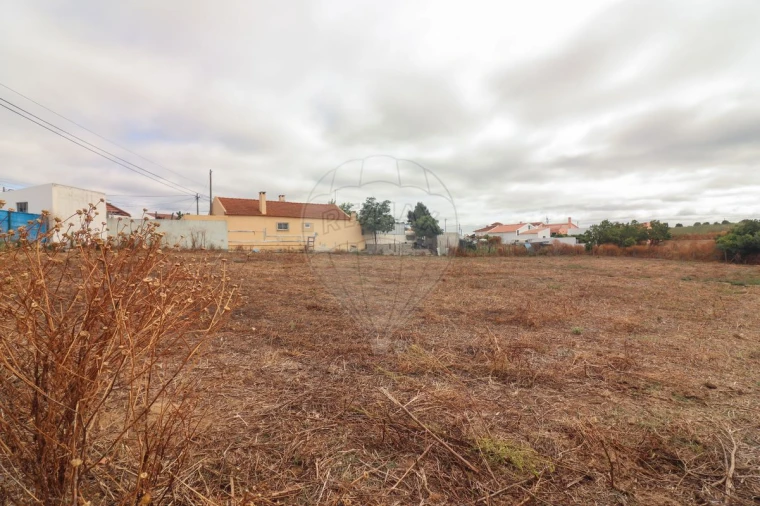 Quinta T3 para Venda em Alenquer (Santo Estêvão e Triana) Foto 6