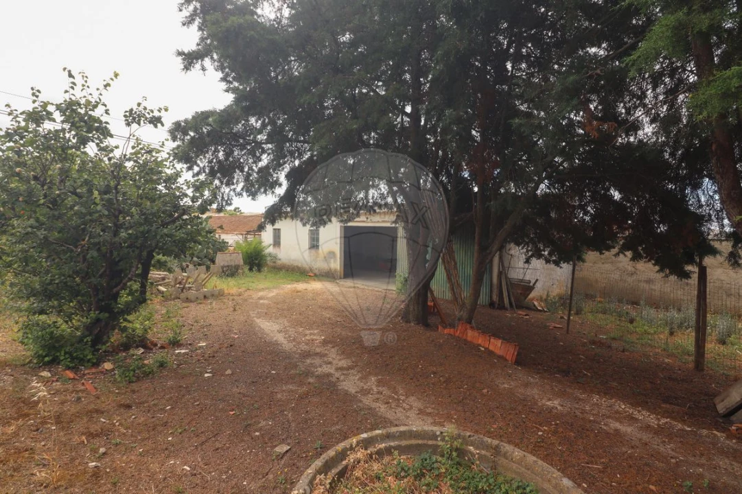 Quinta T3 para Venda em Alenquer (Santo Estêvão e Triana) Foto 24