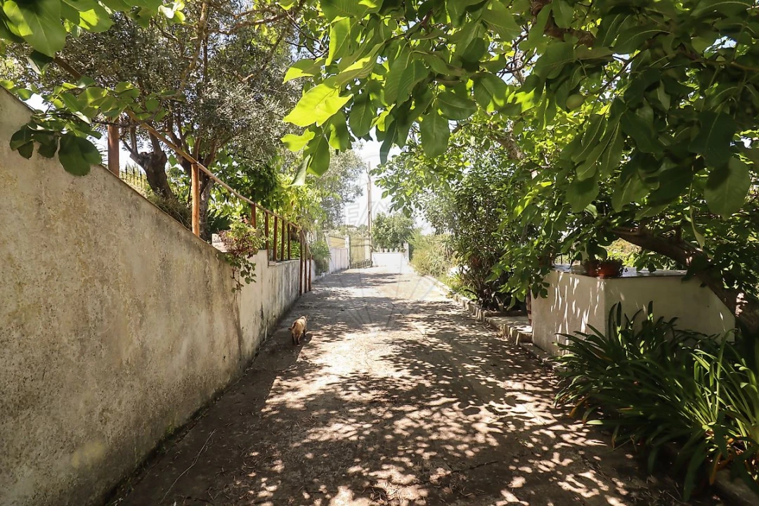Quinta T3 para Venda em Alenquer (Santo Estêvão e Triana) Foto 12