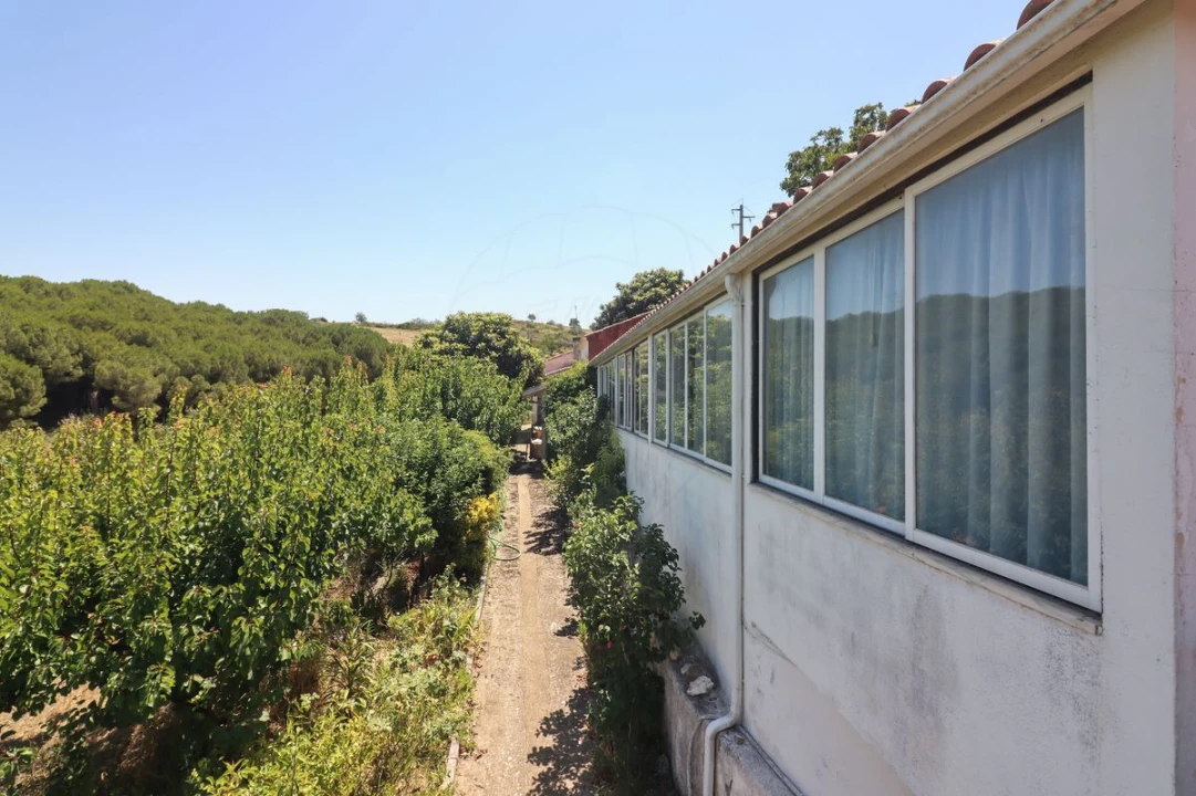 Quinta T3 para Venda em Alenquer (Santo Estêvão e Triana) Foto 40