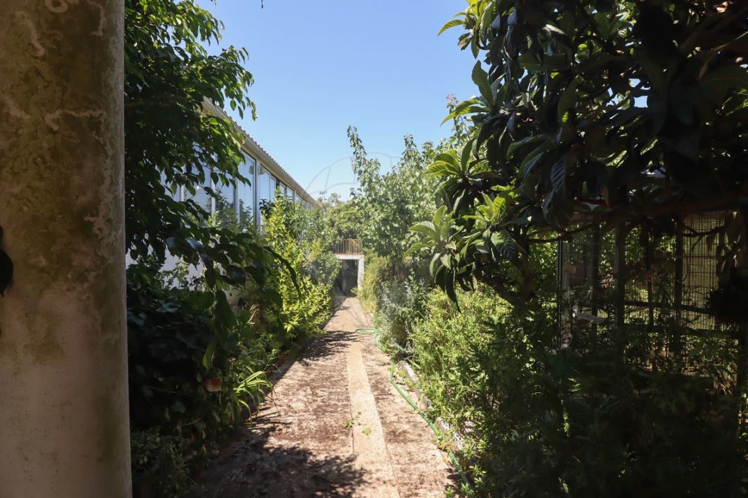 Quinta T3 para Venda em Alenquer (Santo Estêvão e Triana) Foto 27