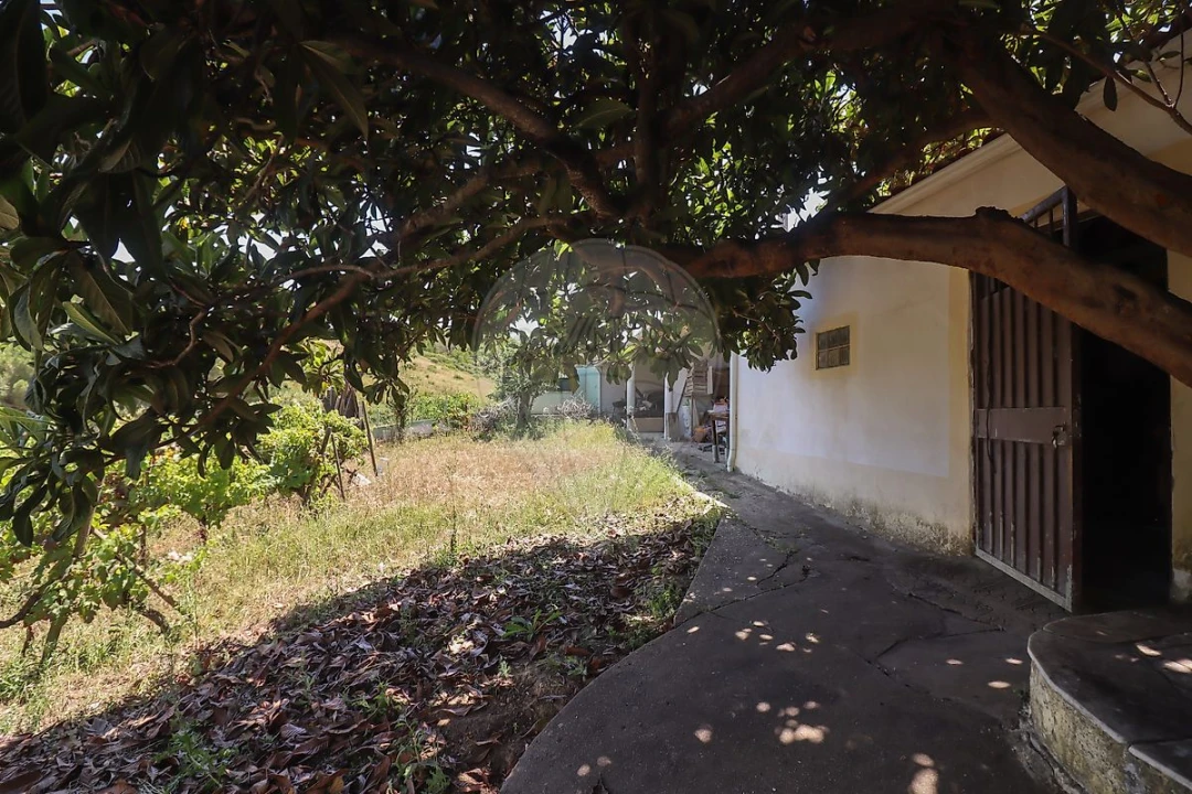 Quinta T3 para Venda em Alenquer (Santo Estêvão e Triana) Foto 5