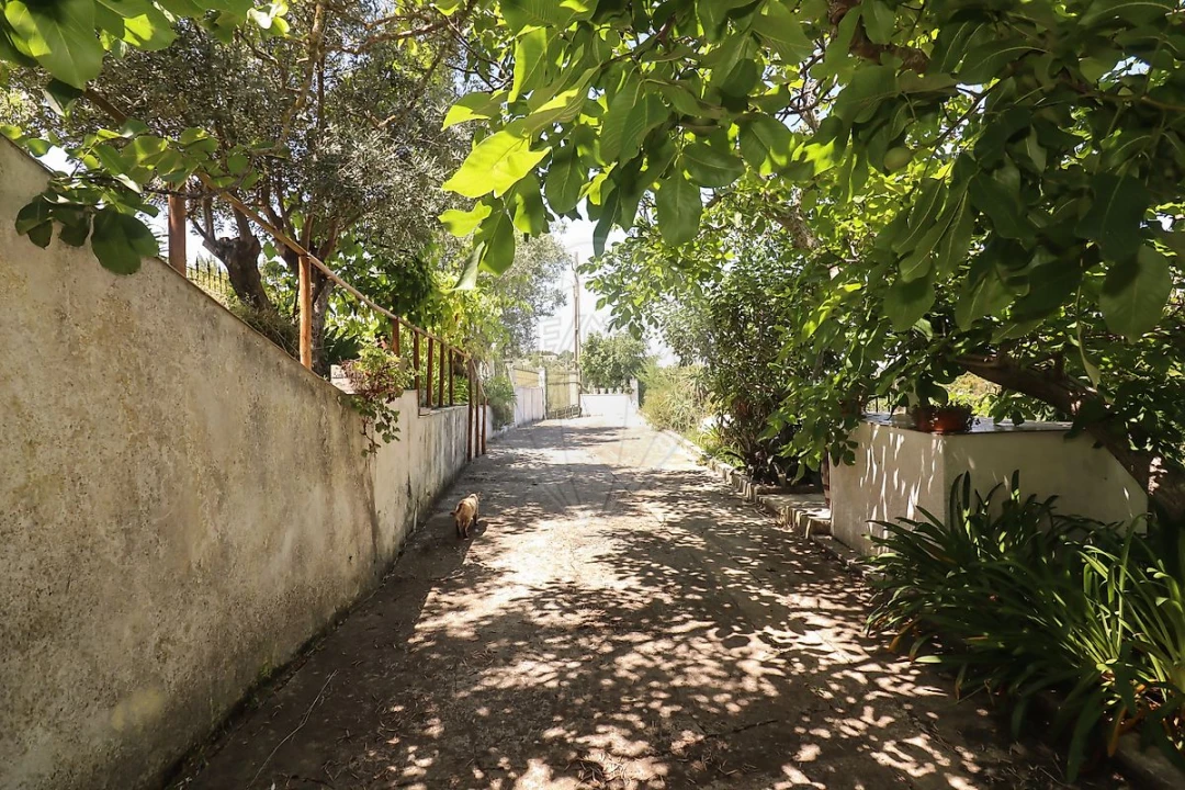 Quinta T3 para Venda em Alenquer (Santo Estêvão e Triana) Foto 47