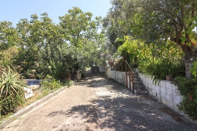 Quinta T3 para Venda em Alenquer (Santo Estêvão e Triana)