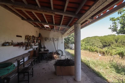 Quinta T3 para Venda em Alenquer (Santo Estêvão e Triana)