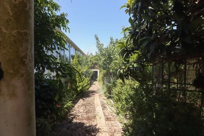 Quinta T3 para Venda em Alenquer (Santo Estêvão e Triana)