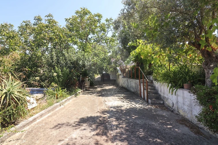 Quinta T3 para Venda em Alenquer (Santo Estêvão e Triana) Foto 4