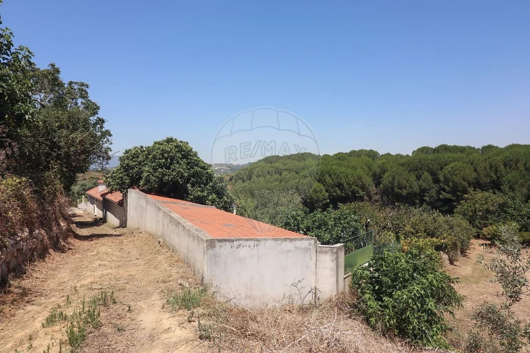 Quinta T3 para Venda em Alenquer (Santo Estêvão e Triana) Foto 35