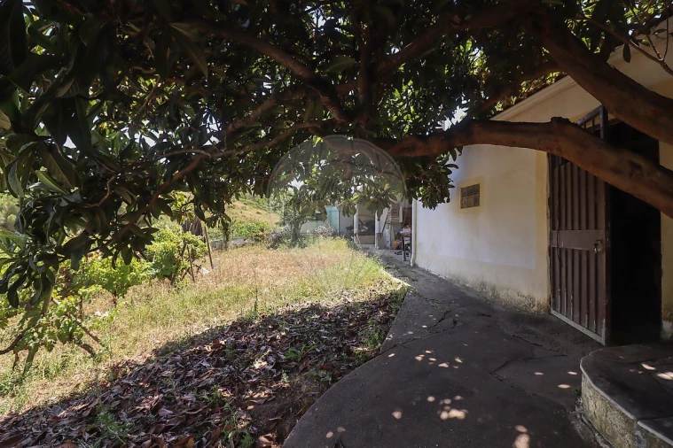 Quinta T3 para Venda em Alenquer (Santo Estêvão e Triana) Foto 5