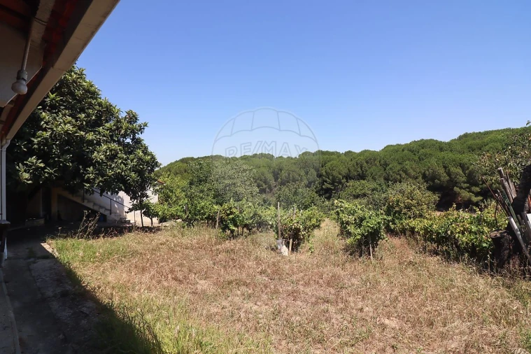 Quinta T3 para Venda em Alenquer (Santo Estêvão e Triana) Foto 8