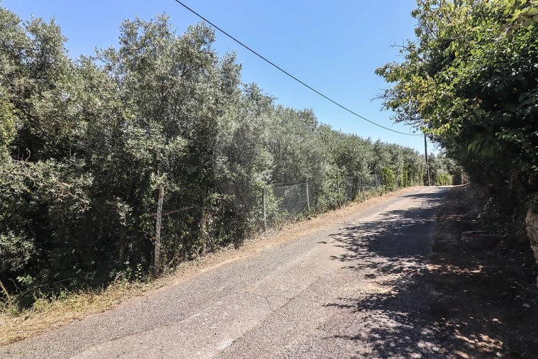 Quinta T3 para Venda em Alenquer (Santo Estêvão e Triana) Foto 23