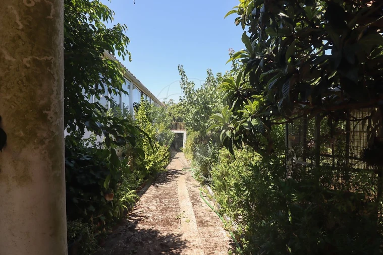 Quinta T3 para Venda em Alenquer (Santo Estêvão e Triana) Foto 5