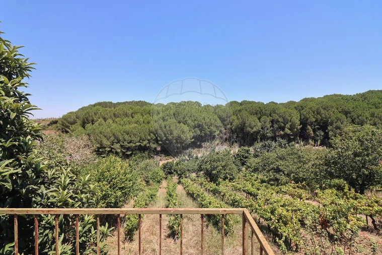 Quinta T3 para Venda em Alenquer (Santo Estêvão e Triana) Foto 29