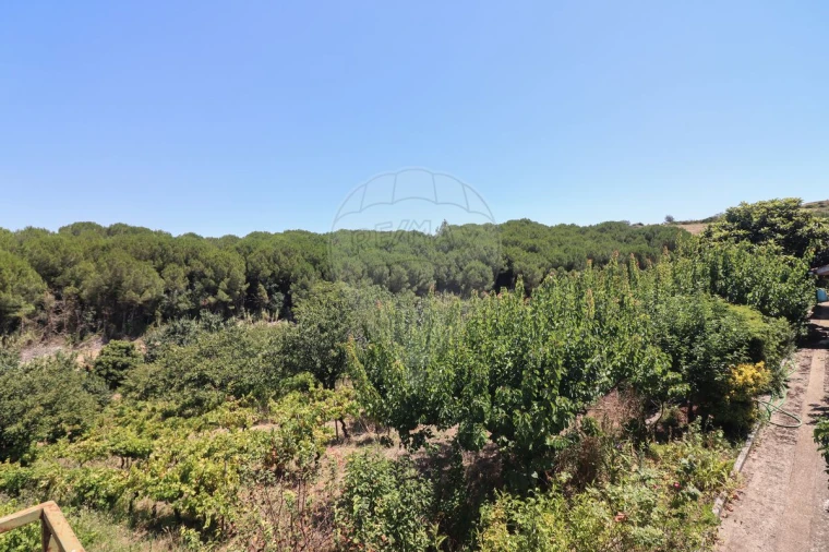Quinta T3 para Venda em Alenquer (Santo Estêvão e Triana) Foto 30