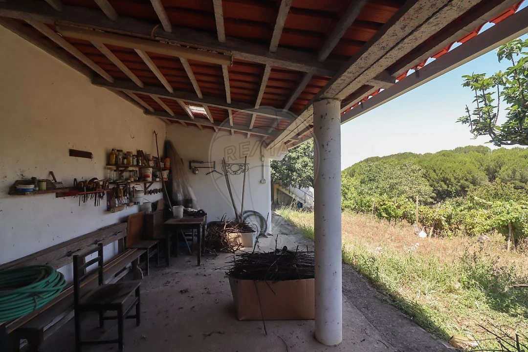 Quinta T3 para Venda em Alenquer (Santo Estêvão e Triana) Foto 26