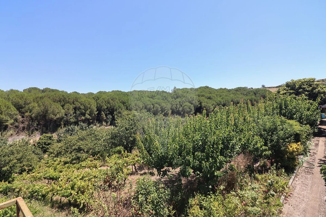 Quinta T3 para Venda em Alenquer (Santo Estêvão e Triana) Foto 27