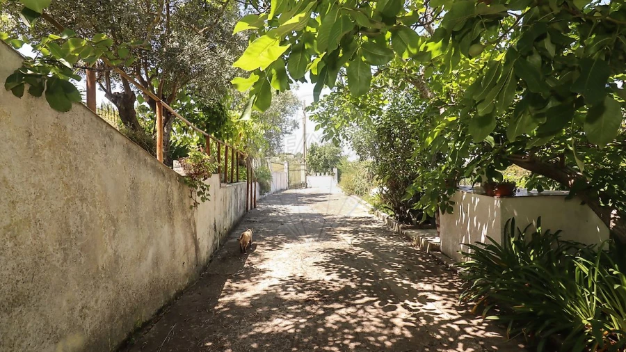 Quinta T3 para Venda em Alenquer (Santo Estêvão e Triana)