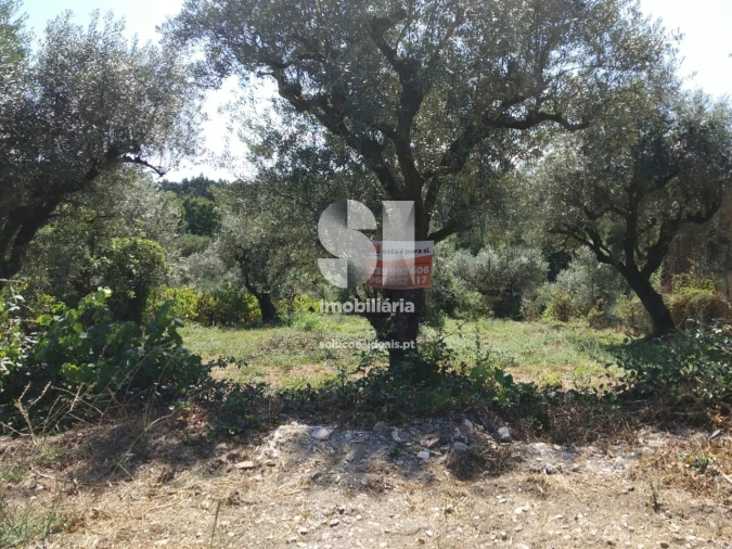 Terreno para Venda em Arrifana Foto 1